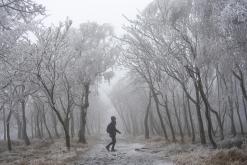 Děčinský Sněžník - prosinec 2020