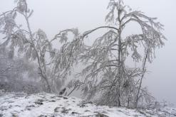 Děčinský Sněžník - prosinec 2020