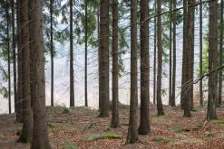 Děčinský Sněžník - prosinec 2020