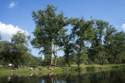 Křivoklát - srpen 2020