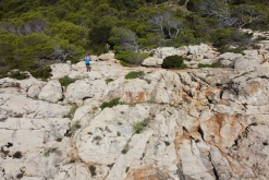 Ibiza, Baleárské ostrovy