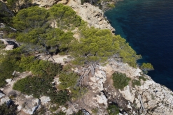 Ibiza, Baleárské ostrovy