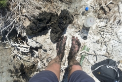 Ibiza, Baleárské ostrovy