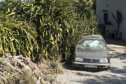 Ibiza, Baleárské ostrovy