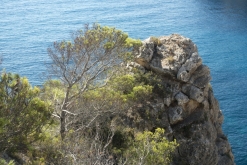 Ibiza, Baleárské ostrovy