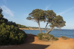 Ibiza, Baleárské ostrovy