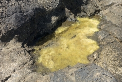 Ibiza, Baleárské ostrovy