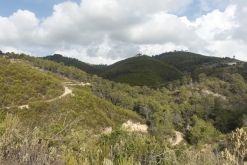 Ibiza, Baleárské ostrovy