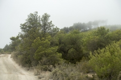 Ibiza, Baleárské ostrovy