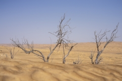 Al Kamil, Wahibská poušť