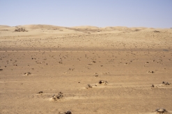 Al Kamil, Wahibská poušť