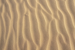 Al Kamil, Wahibská poušť