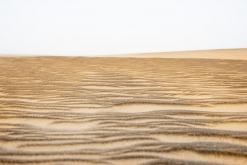 Al Kamil, Wahibská poušť