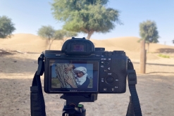 Al Kamil - Jalan Bani Bu Ali, Wahibská poušť