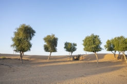 Al Kamil - Jalan Bani Bu Ali, Wahibská poušť