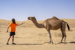 Al Kamil - Jalan Bani Bu Ali, Wahibská poušť