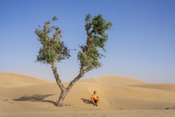 Al Kamil - Jalan Bani Bu Ali, Wahibská poušť