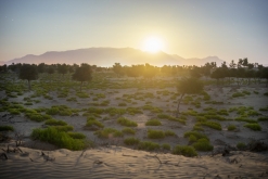 Al Kamil - Jalan Bani Bu Ali, Wahibská poušť