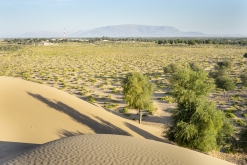 Al Kamil - Jalan Bani Bu Ali, Wahibská poušť