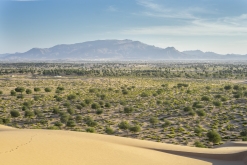 Al Kamil - Jalan Bani Bu Ali, Wahibská poušť