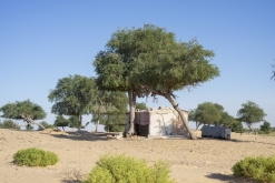 Al Kamil - Jalan Bani Bu Ali, Wahibská poušť