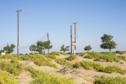 Al Kamil - Jalan Bani Bu Ali, Wahibská poušť