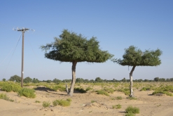 Al Kamil - Jalan Bani Bu Ali, Wahibská poušť