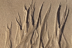 Al Kamil - Jalan Bani Bu Ali, Wahibská poušť