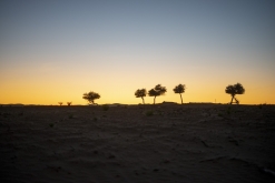 Al Kamil - Jalan Bani Bu Ali, Wahibská poušť