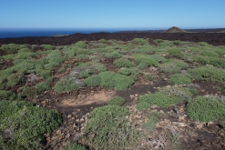 Lanzarote