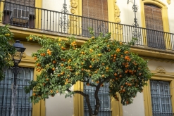 Seville