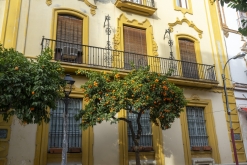 Seville