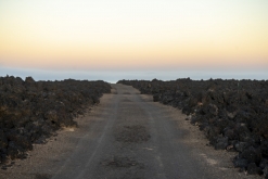 Lanzarote