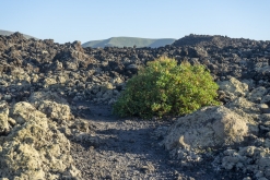 Lanzarote