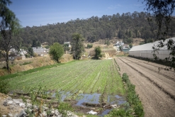 Texmelucan (San Martín)