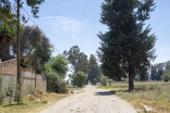 Texmelucan (San Martín)