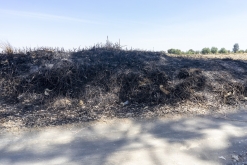 Texmelucan (San Martín)