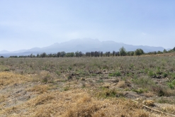 Texmelucan (San Martín)