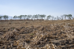 Texmelucan (San Martín)