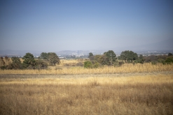 Texmelucan (San Martín)