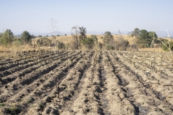 Texmelucan (San Martín)