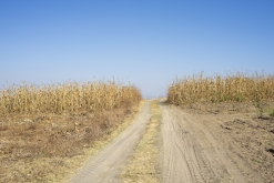 Texmelucan (San Martín)