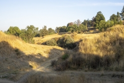 Texmelucan (San Martín)