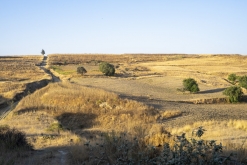 Texmelucan (San Martín)