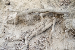 Texmelucan (San Martín)