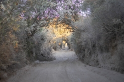 Iztaccihuatl - Popocatépetl národní park