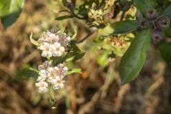 Iztaccihuatl - Popocatépetl národní park
