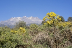 Iztaccihuatl - Popocatépetl národní park