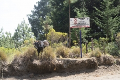 Iztaccihuatl - Popocatépetl národní park