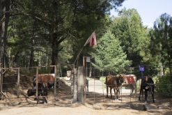 Iztaccihuatl - Popocatépetl národní park